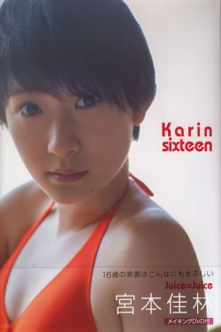 秘果